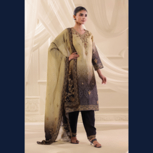 Elegant Ethnic Kurta Set