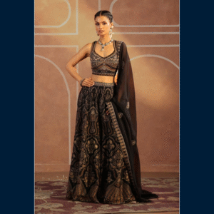 Noir Royal Zari Lehenga Set